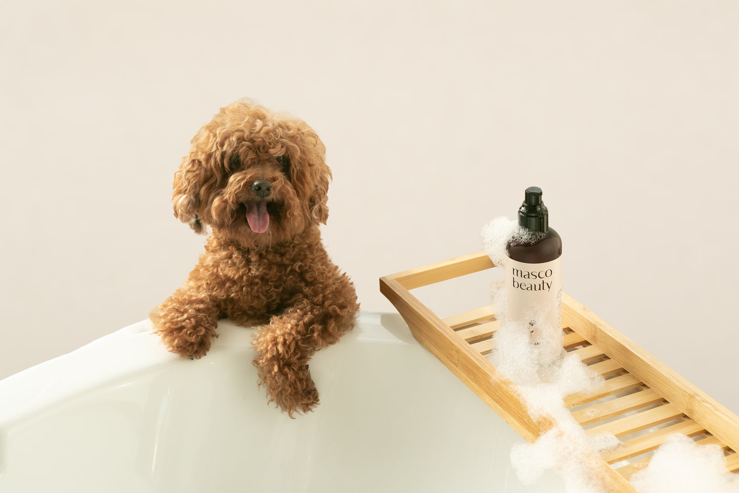 Furmey Tips: Clean and Fluffy with Masco beauty Detox shampoo