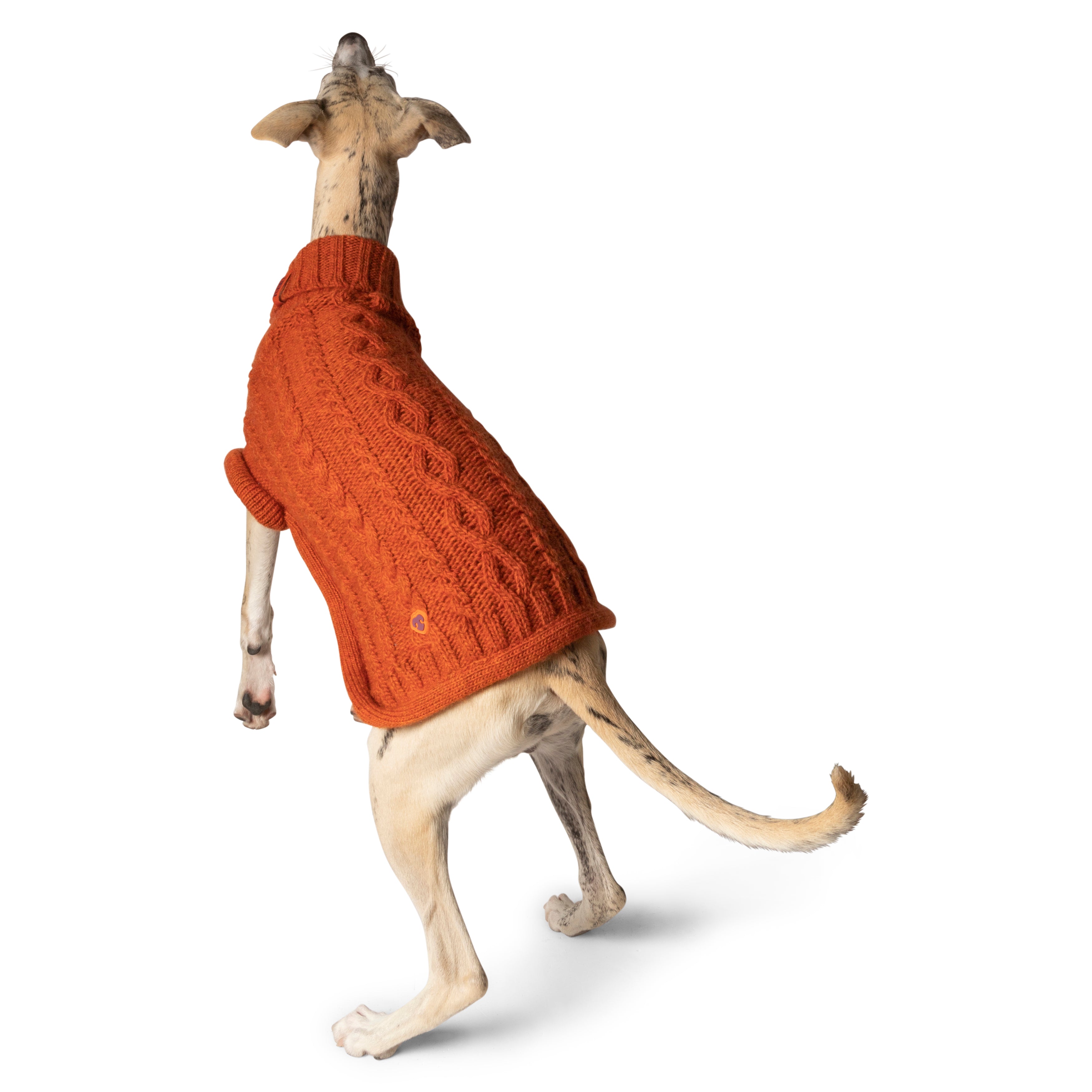 Bold Furmey Orange