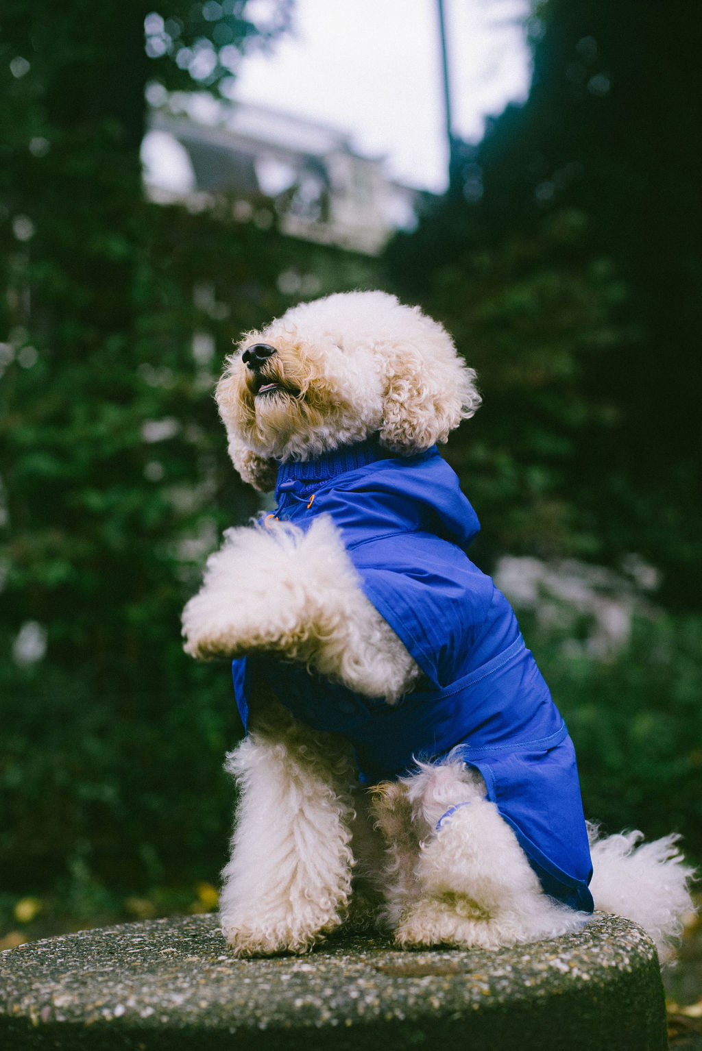 Muse rainjacket Romeo