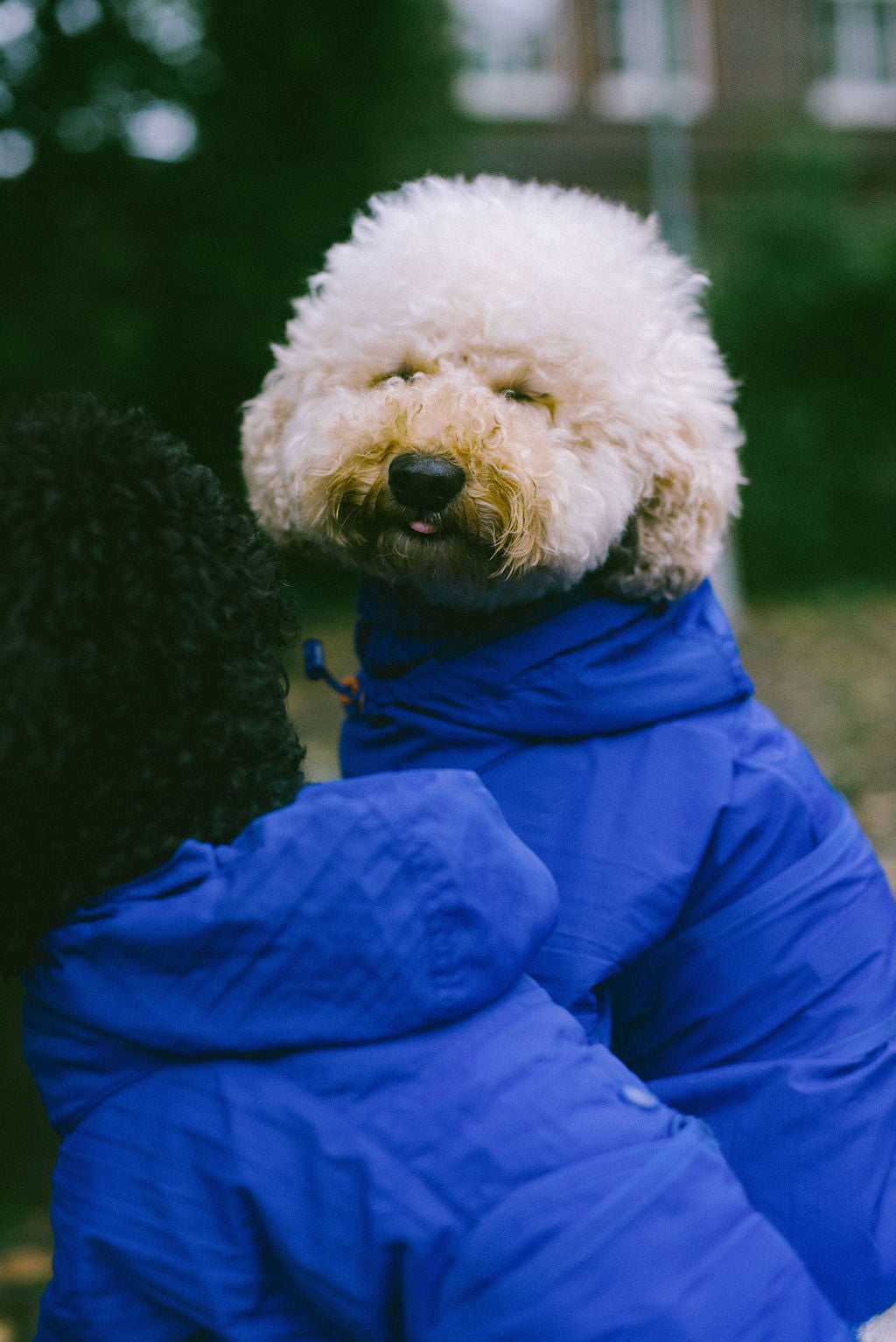 Muse rainjacket Romeo
