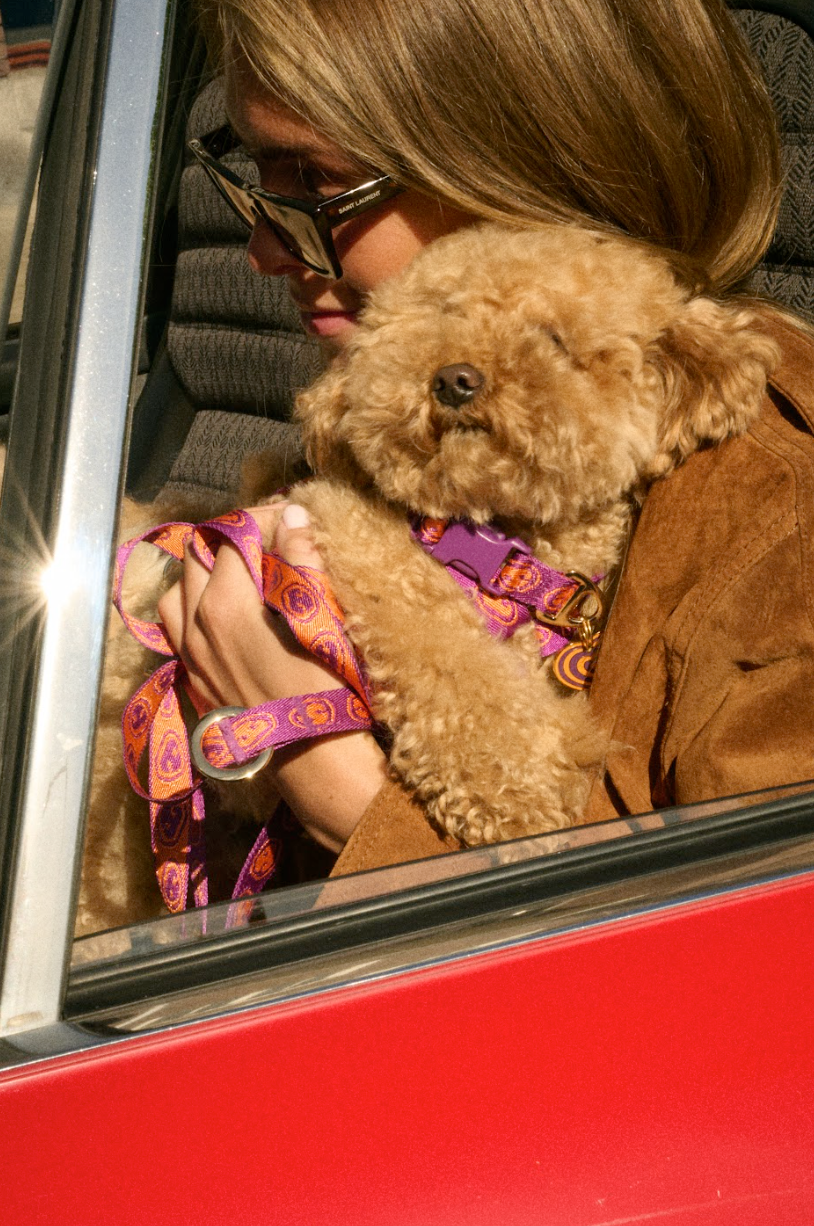 VORBESTELLUNG Furmey Y-Geschirr Hunde