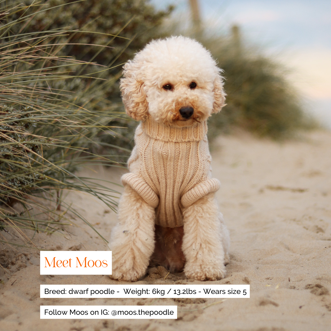 Vet Bambi Beige