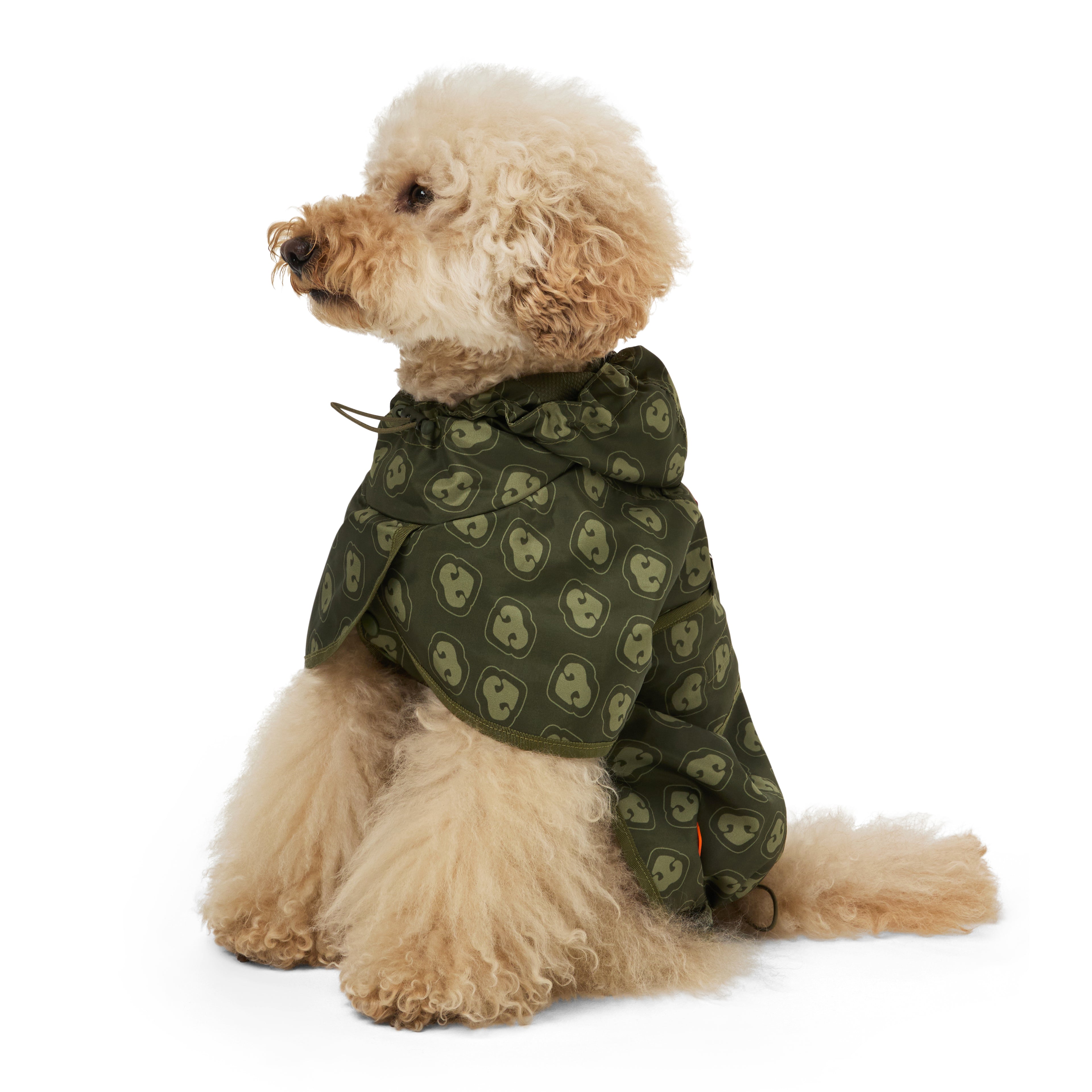 Dog Raincoat Neverland Green