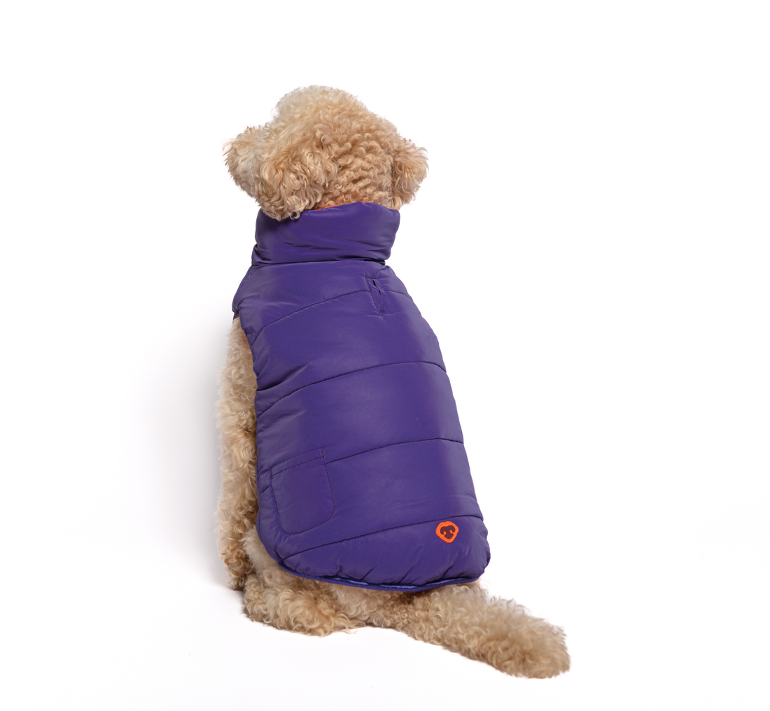 Tory Jacket Purple