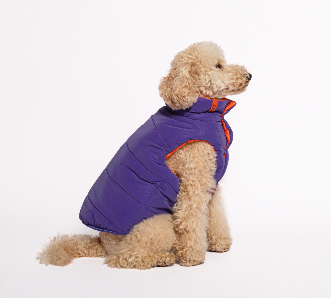 Tory Jacket Purple