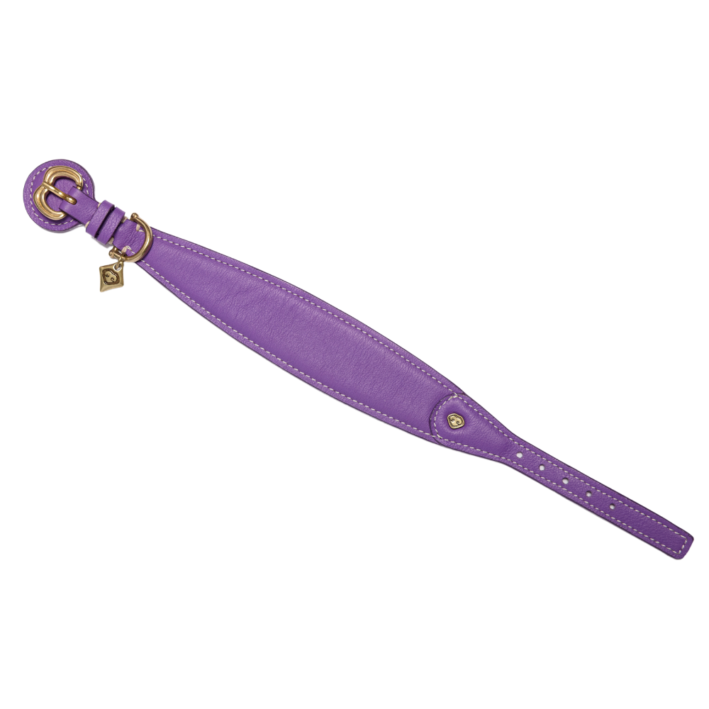 Hero Hundehalsband Lila