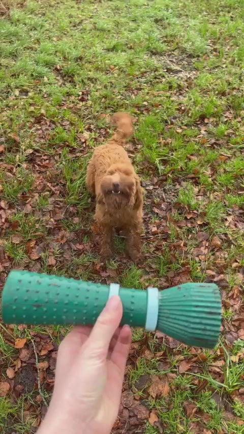 Zoomies | Hundespielzeug | Lila