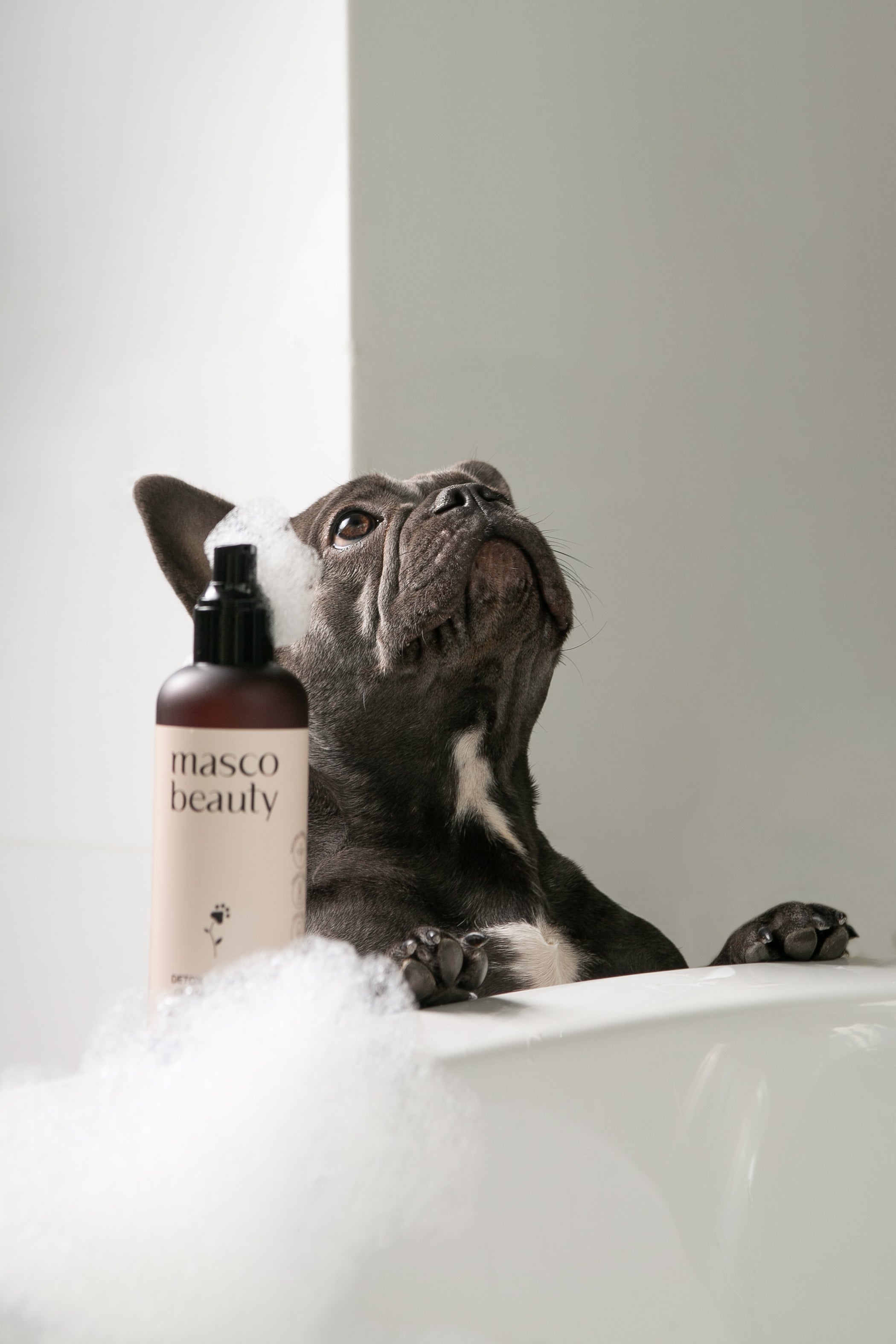 Furmey introduces Masco beauty: The beauty and spa routine your pet deserves