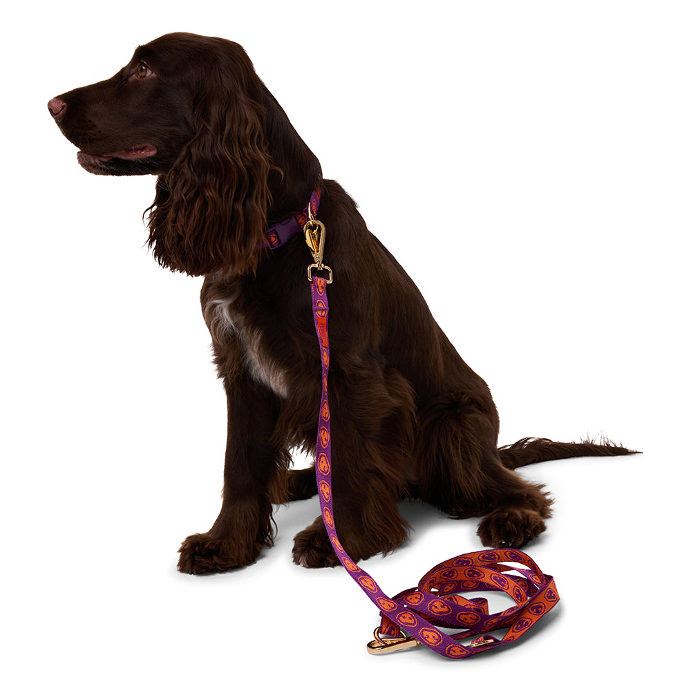 Furmey Hands Free Dog Leash
