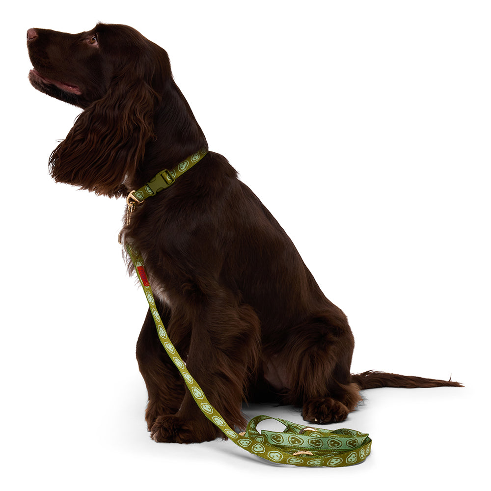 Furmey Hands Free Dog Leash