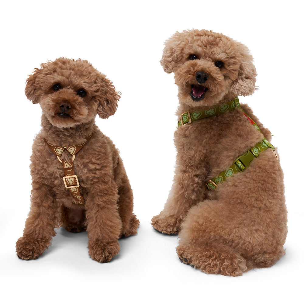 Furmey Y-Harness dogs