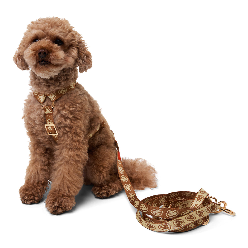 Furmey Y-Harness dogs