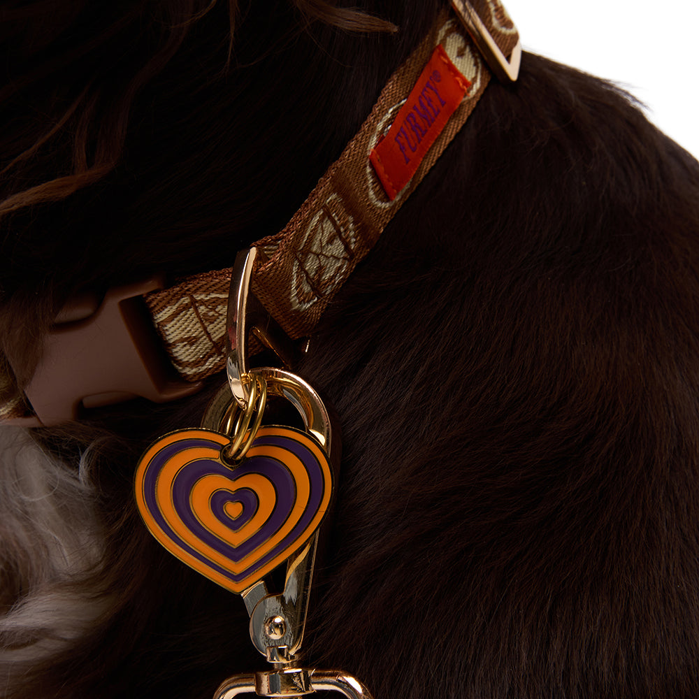 Furmey Dog Collar
