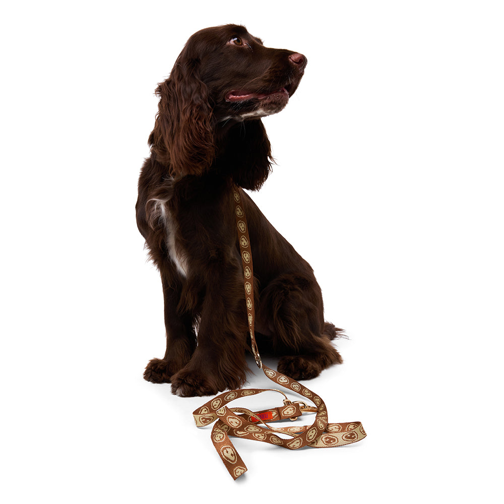 Furmey Hands Free Dog Leash