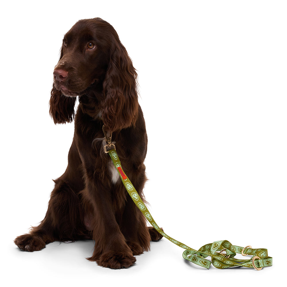 PRE-ORDER Furmey Hands Free Dog Leash