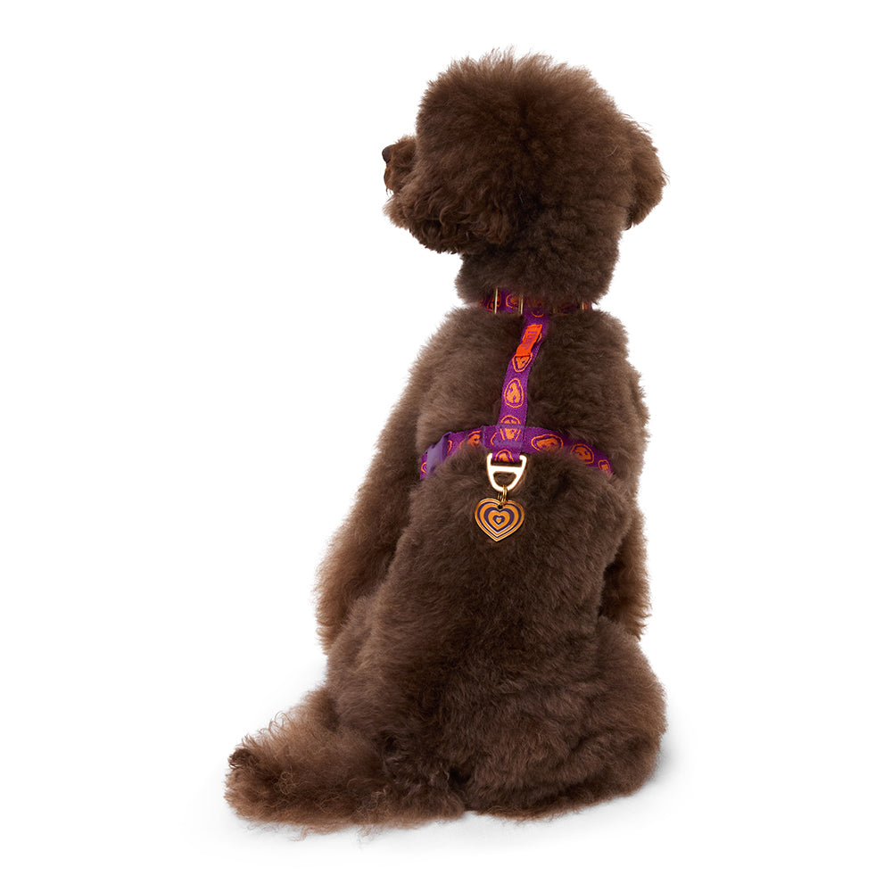 Furmey Y-Harness dogs