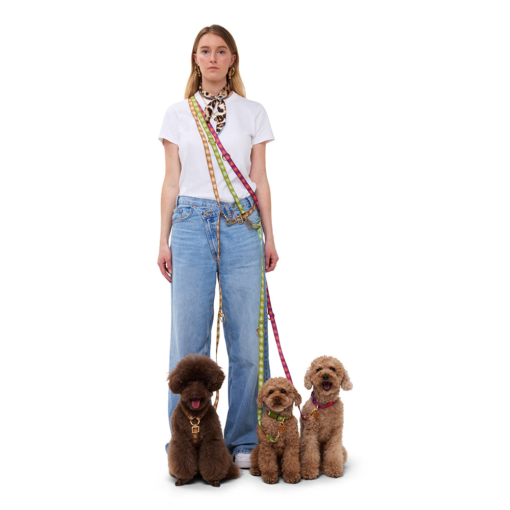 Furmey Hands Free Dog Leash