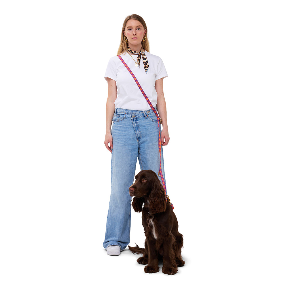 Furmey Hands Free Dog Leash