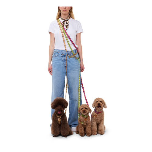 Furmey Orange Hands Free Dog Leash