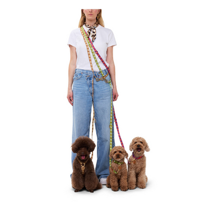 Latte Brown Hands Free Dog Leash