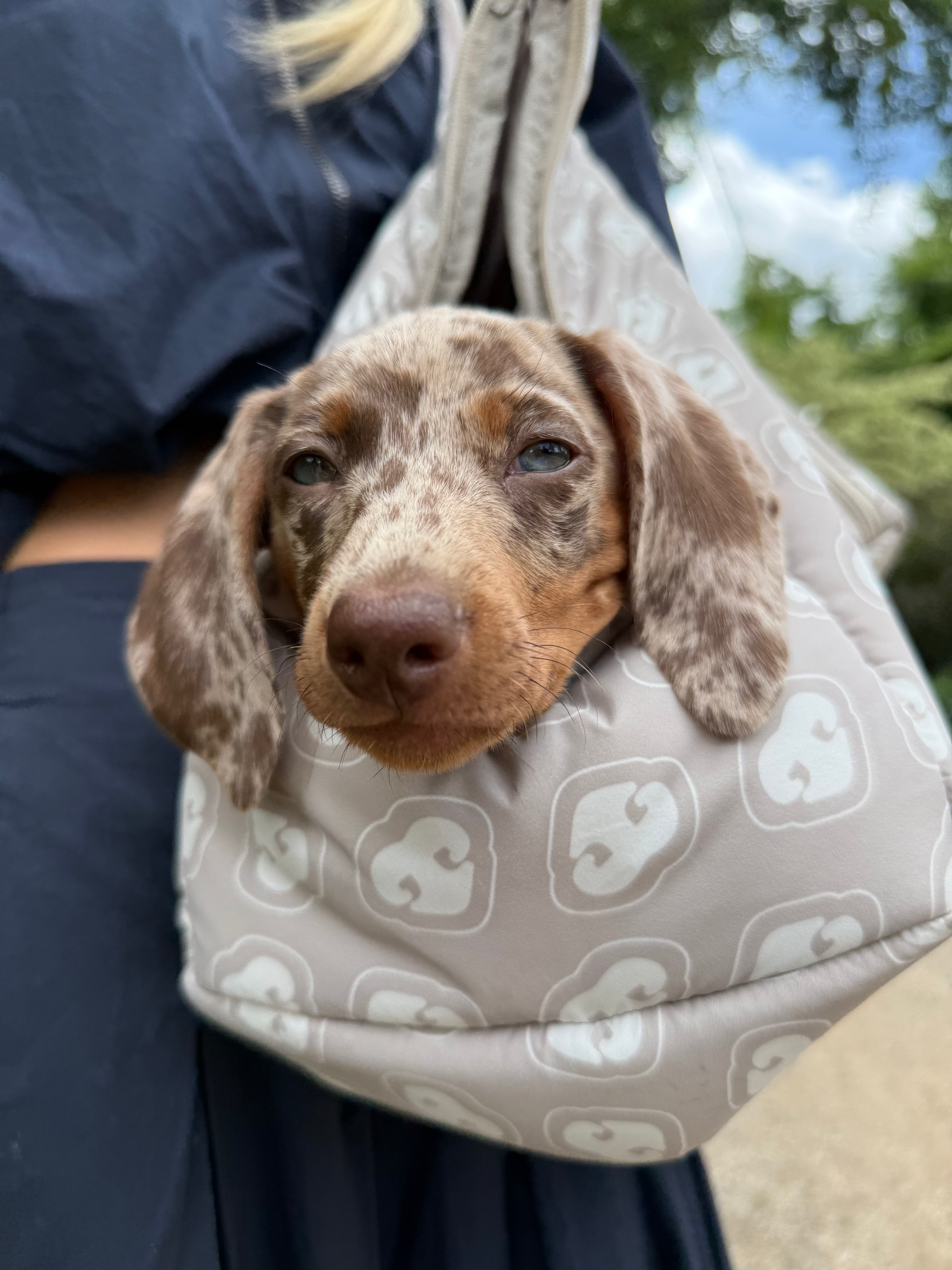 Die Nap-Bag