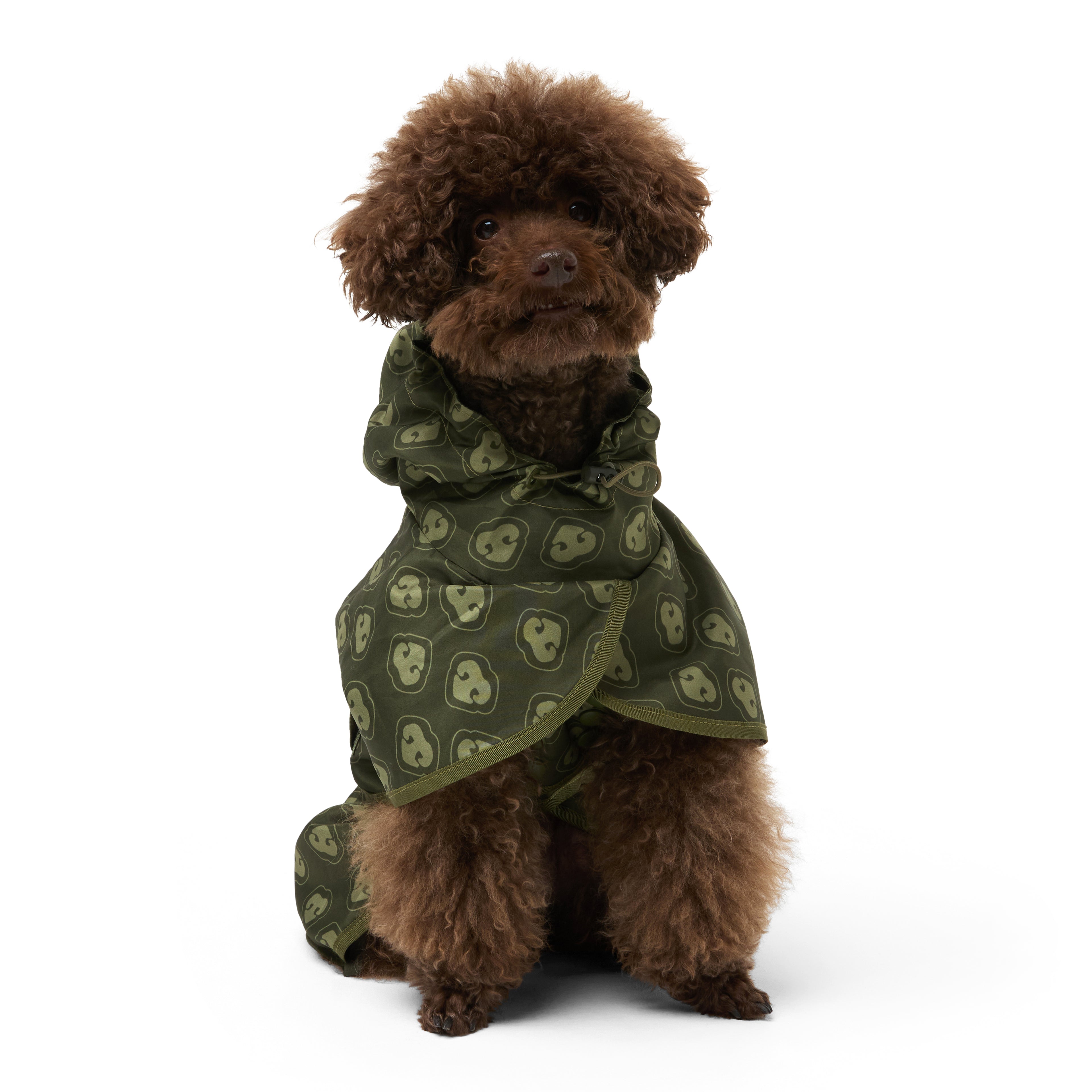 Dog Raincoat Neverland Green