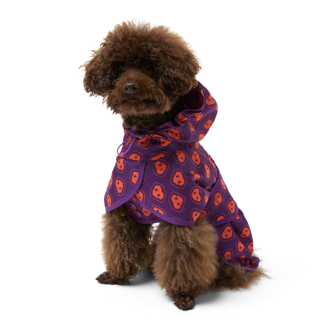 Dog Raincoat Furmey Original