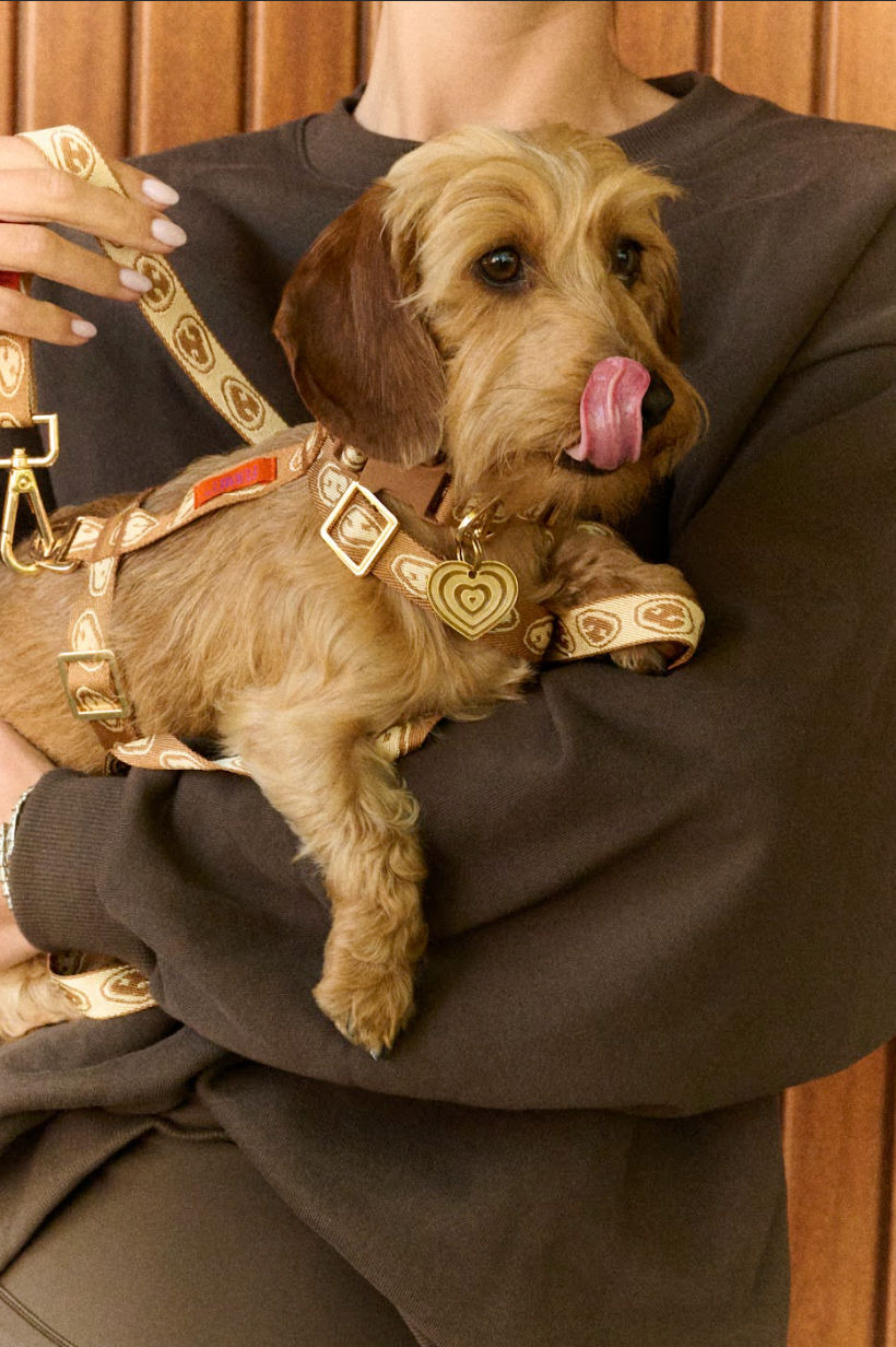 Furmey Dog Collar
